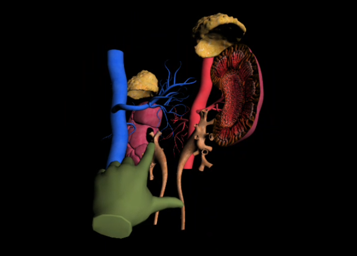 Vr interactive simulation